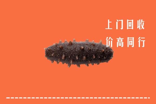高价求购：连云港市回收海参