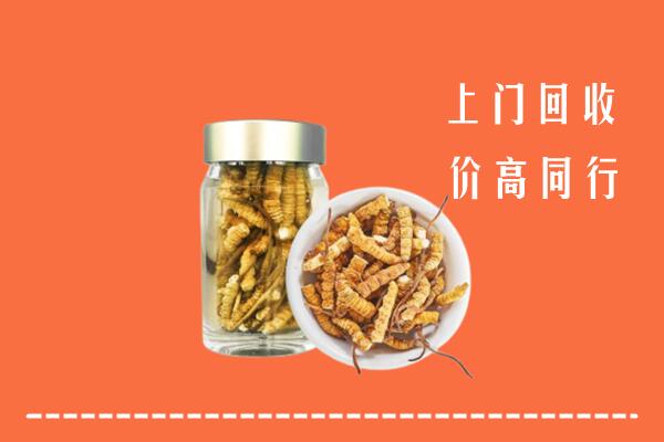 连云港市回收冬虫夏草